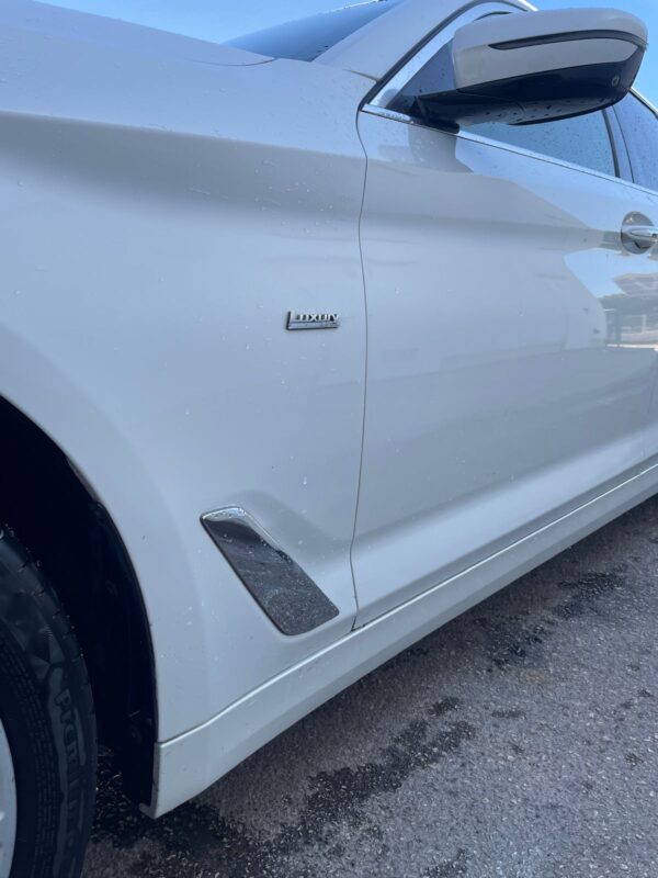 BMW 520D, Automatico, Luxury Line, 2018, 190CV - Imagen 7