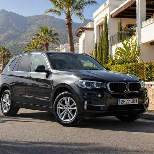 BMW X5 xDrive 30d 7 Plazas, Coches de Ocasión Alicante – Premium Vehículo nacional