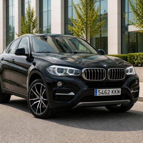 MW X6 xDrive30d – BMW ocasión Alicante – Deportivo, potente y muy equipado