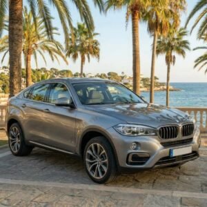BMW X6 F16 segunda mano visto de perfil